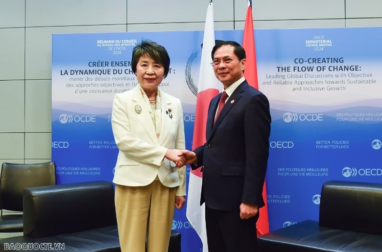 Foreign Minister Bui Thanh Son visits Japan